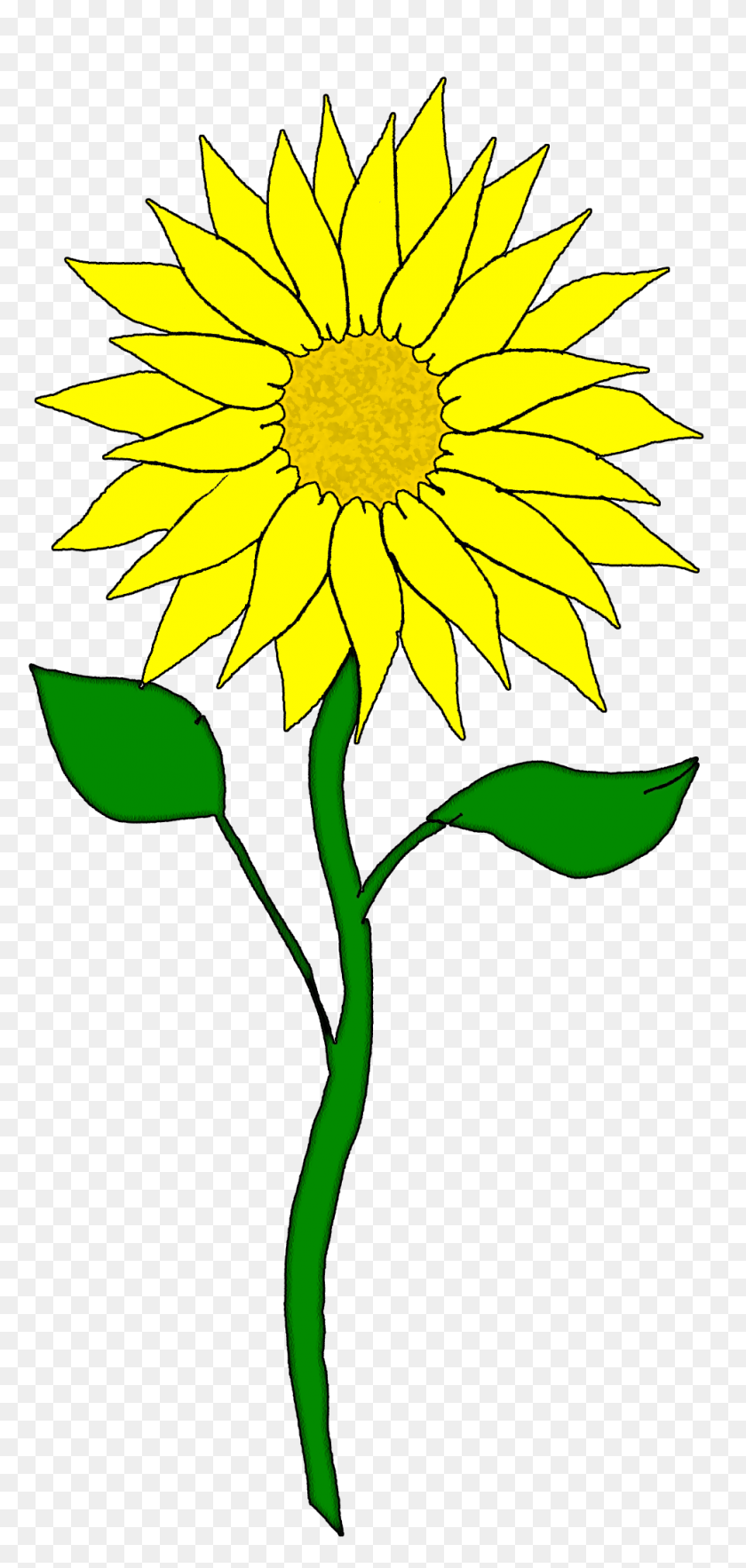 Detail Sunflower Clipart Free Nomer 46