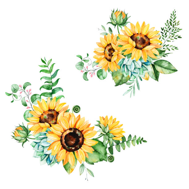 Detail Sunflower Clipart Free Nomer 51