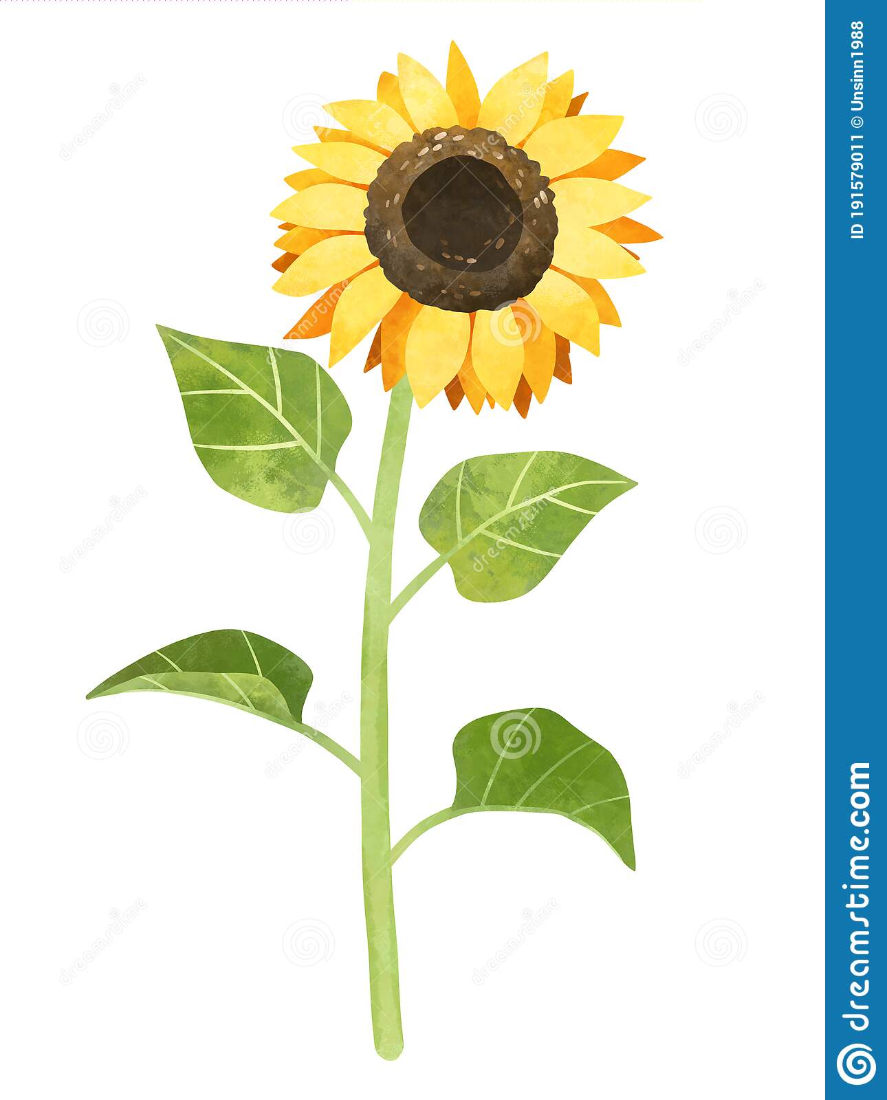 Detail Sunflower Clipart Images Nomer 3