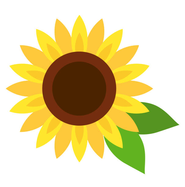 Detail Sunflower Clipart Images Nomer 19