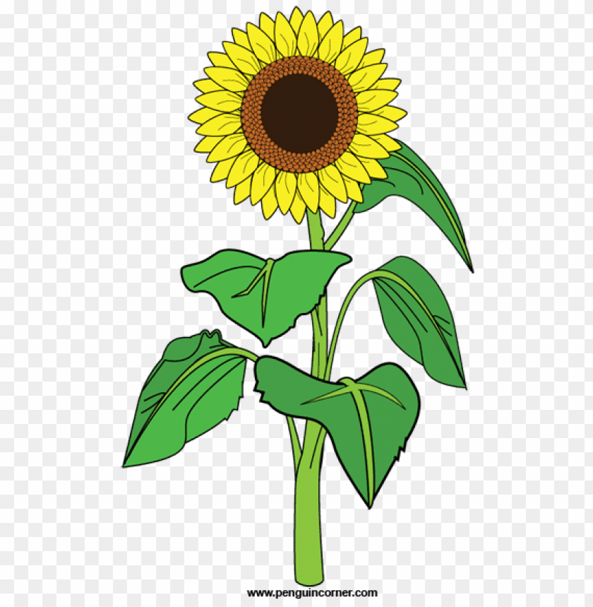 Detail Sunflower Clipart Images Nomer 21