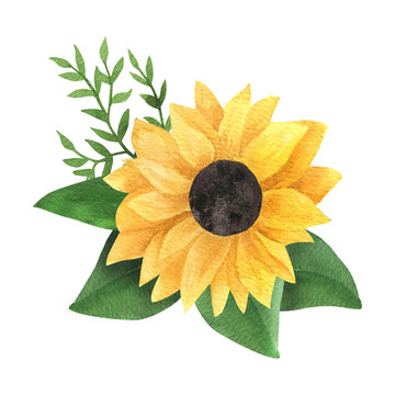 Detail Sunflower Clipart Images Nomer 36