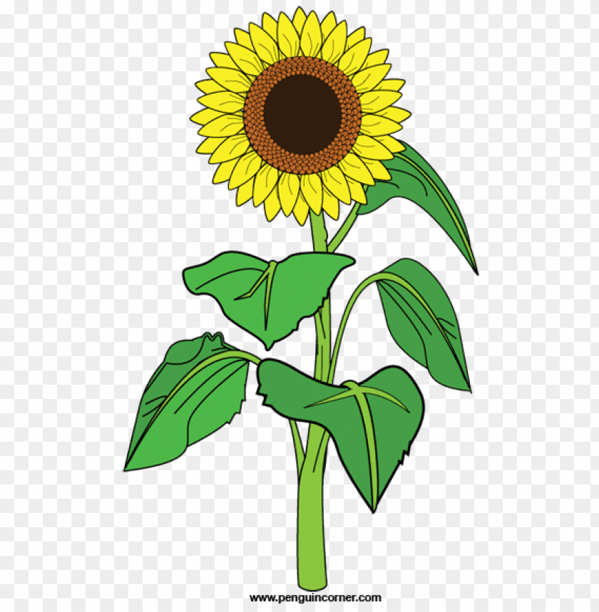 Detail Sunflower Clipart Png Nomer 24