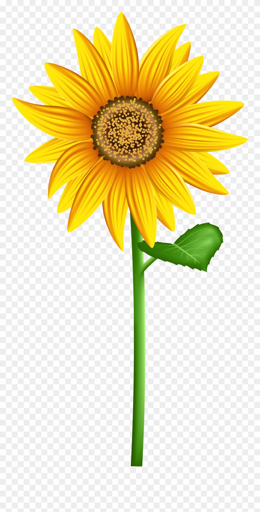 Detail Sunflower Clipart Png Nomer 7