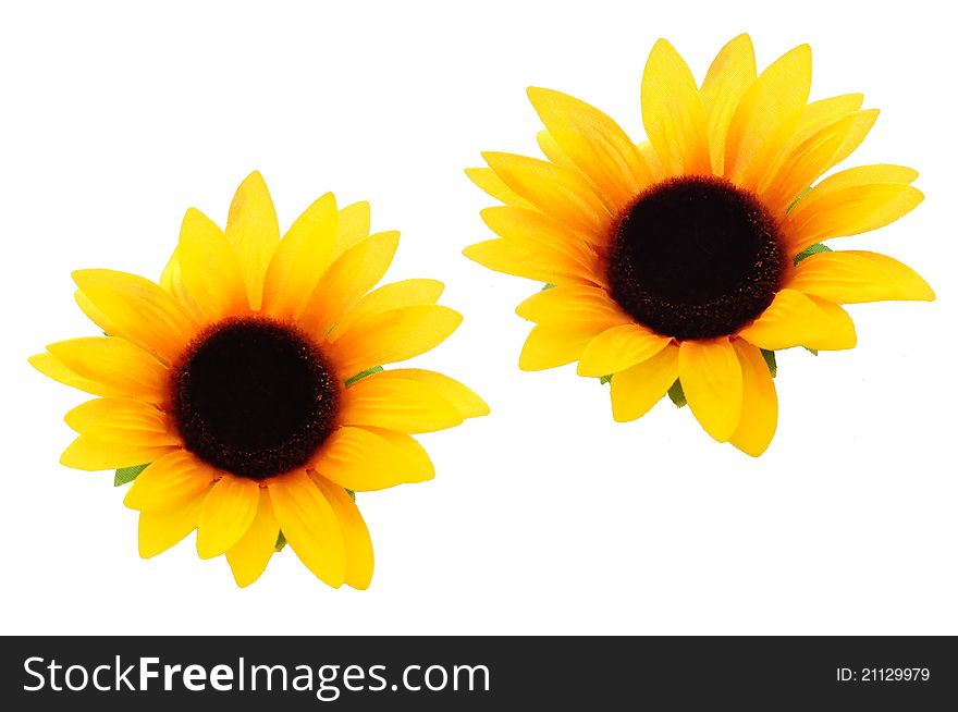 Detail Sunflower Cutouts Nomer 23