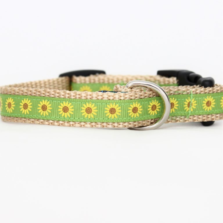 Detail Sunflower Dog Collar And Leash Nomer 18