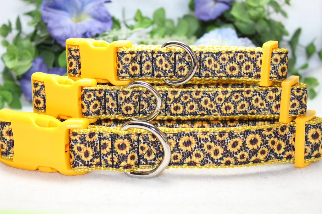 Detail Sunflower Dog Collar And Leash Nomer 24
