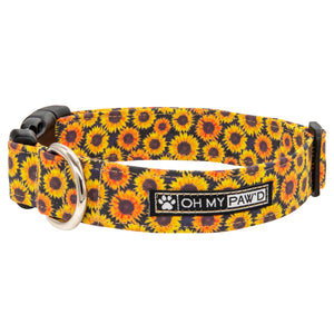 Detail Sunflower Dog Collar And Leash Nomer 28