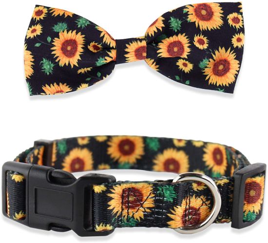 Detail Sunflower Dog Collar And Leash Nomer 36