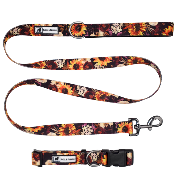 Detail Sunflower Dog Collar And Leash Nomer 7