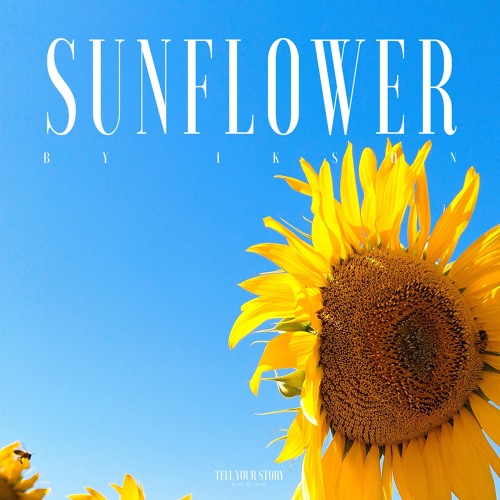 Detail Sunflower Download Free Nomer 34