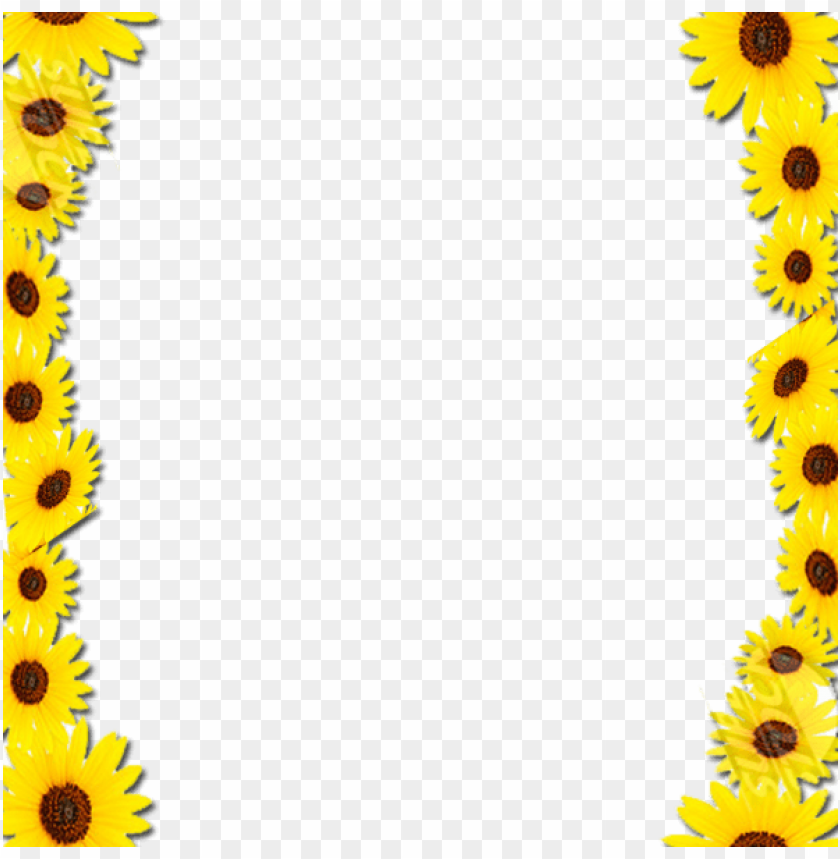 Detail Sunflower Frame Png Nomer 12