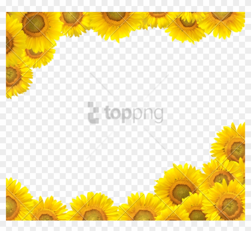 Detail Sunflower Frame Png Nomer 4