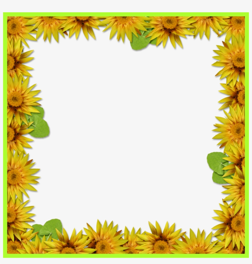 Detail Sunflower Frame Png Nomer 33