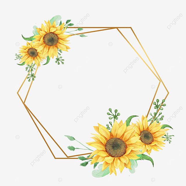 Detail Sunflower Frame Png Nomer 49