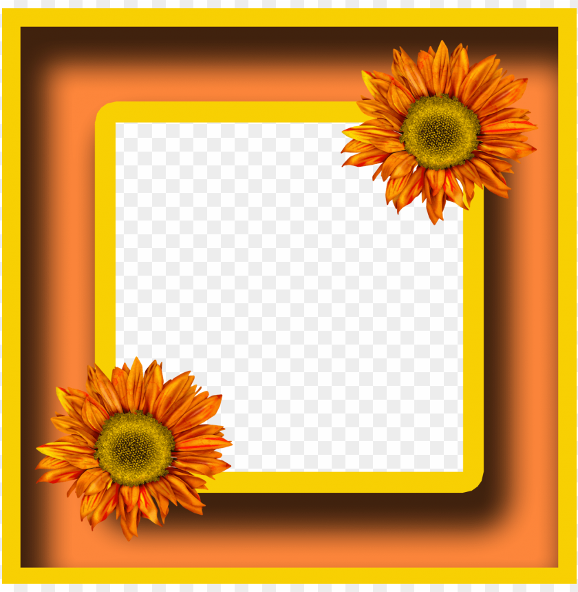 Detail Sunflower Frame Png Nomer 52