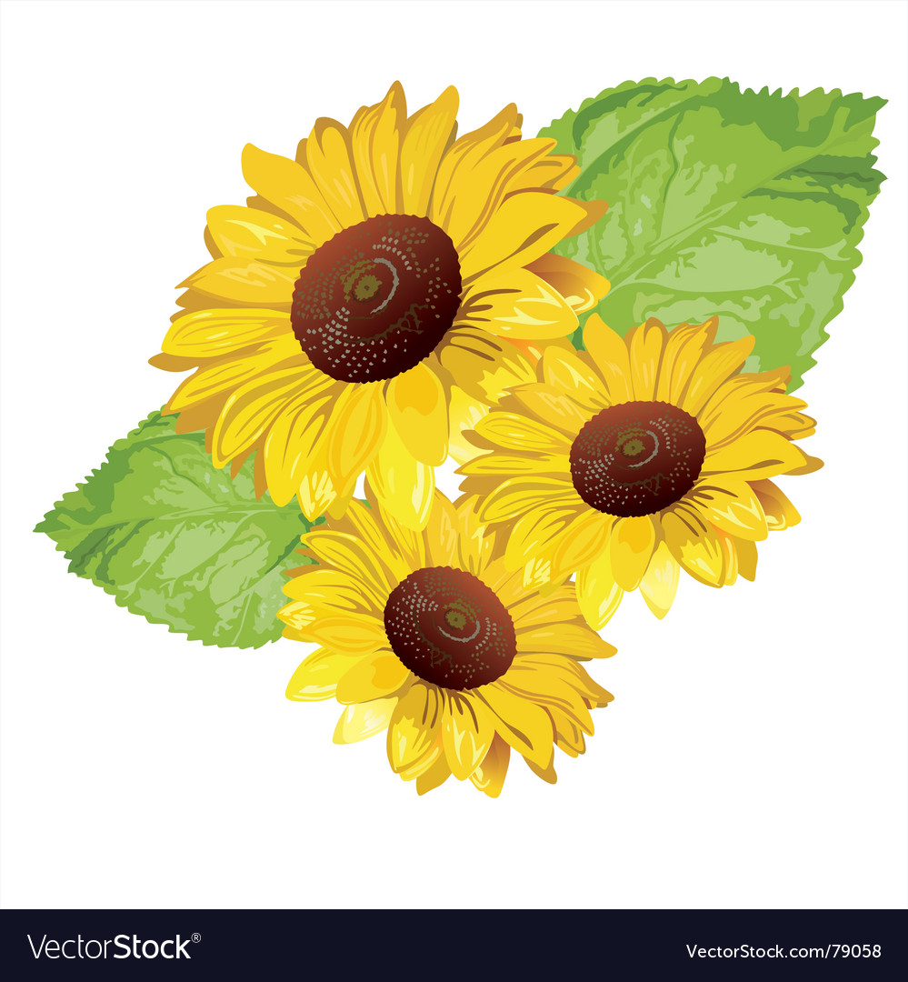 Detail Sunflower Free Images Nomer 33
