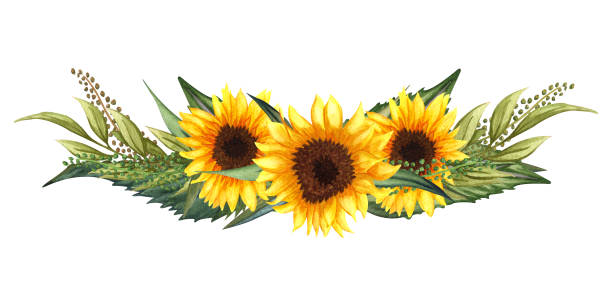Detail Sunflower Garland Clipart Nomer 4