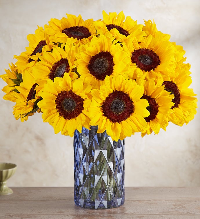 Detail Sunflower Image Nomer 20