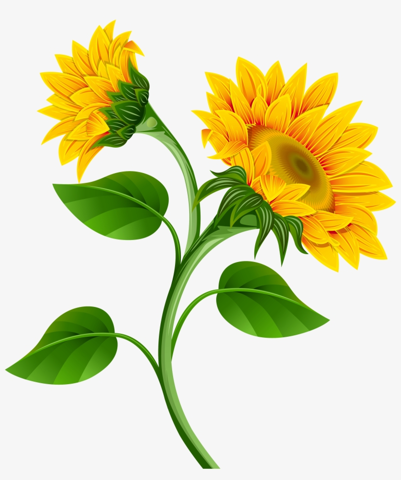 Detail Sunflower Images Clip Art Nomer 26