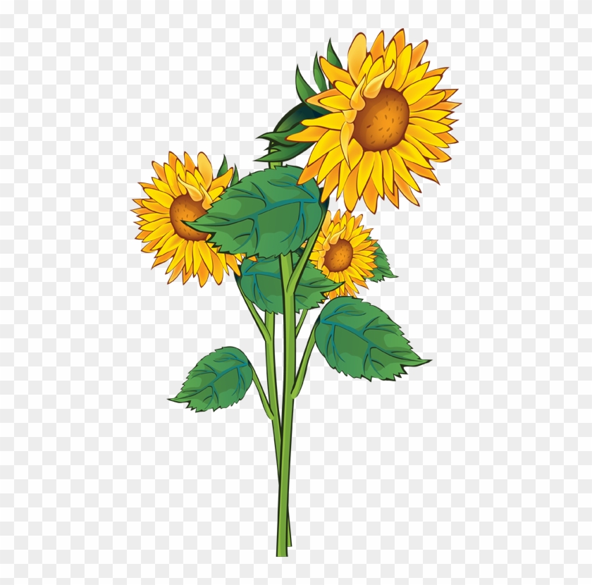 Detail Sunflower Images Clip Art Nomer 30