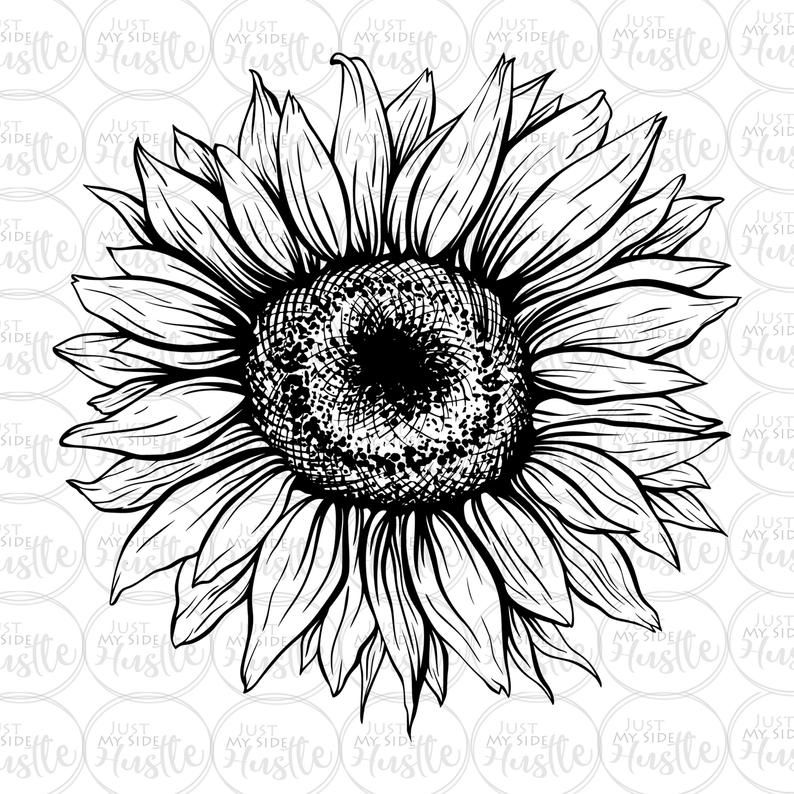 Sunflower Outline Png - KibrisPDR