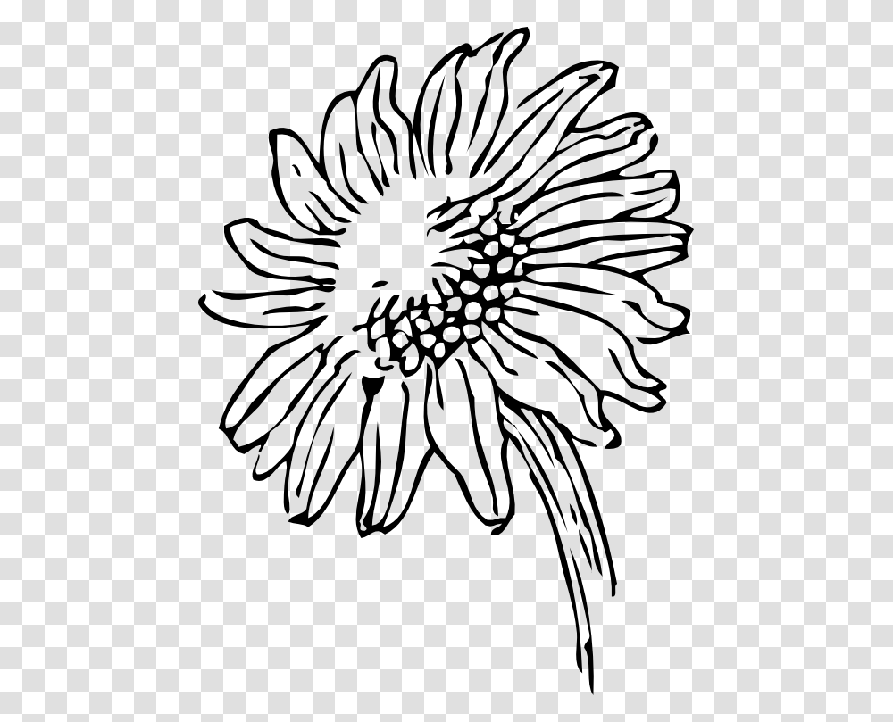 Detail Sunflower Outline Png Nomer 13