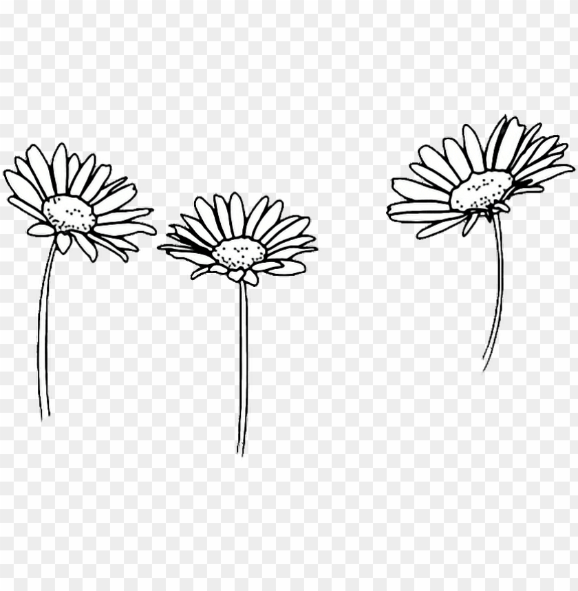 Detail Sunflower Outline Png Nomer 21