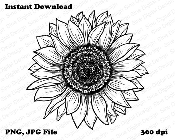 Detail Sunflower Outline Png Nomer 22