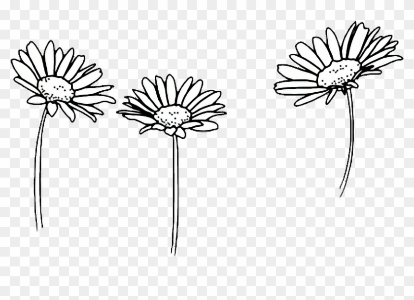 Detail Sunflower Outline Png Nomer 23