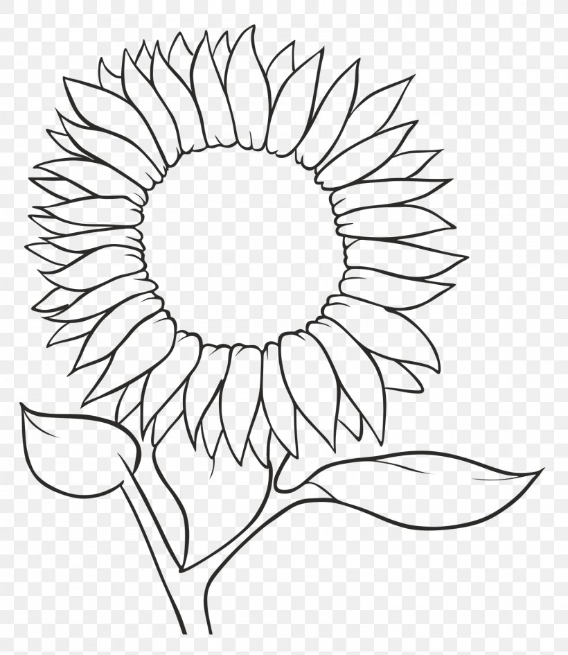 Detail Sunflower Outline Png Nomer 34