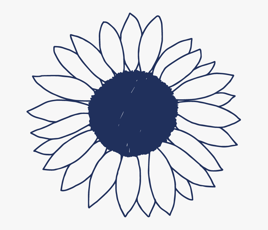 Detail Sunflower Outline Png Nomer 37