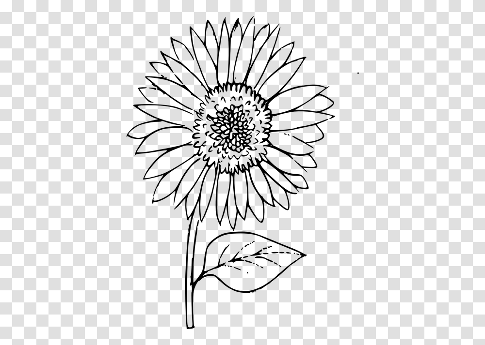 Detail Sunflower Outline Png Nomer 6