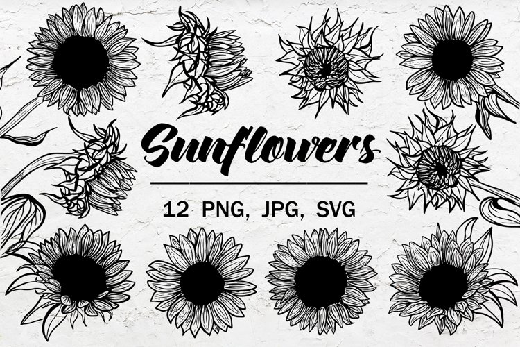 Detail Sunflower Outline Png Nomer 52