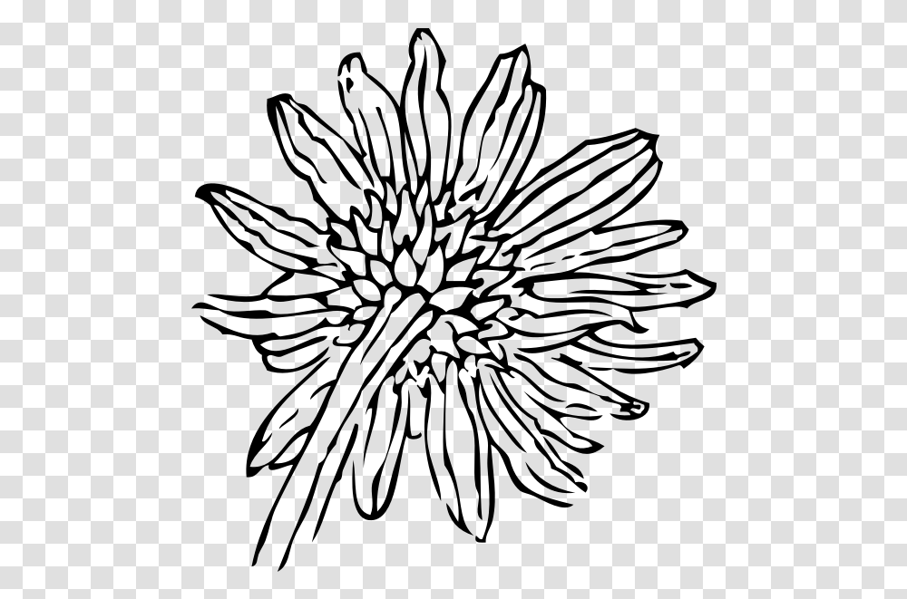 Detail Sunflower Outline Png Nomer 56