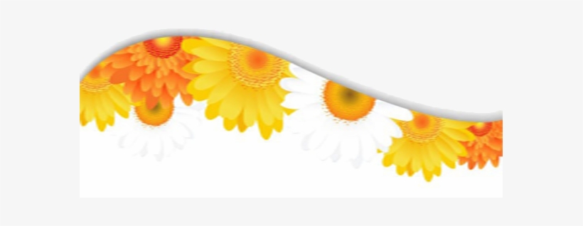 Detail Sunflower Petals Png Nomer 49