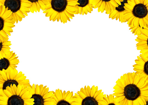 Download Sunflower Photo Booth Frame Nomer 25