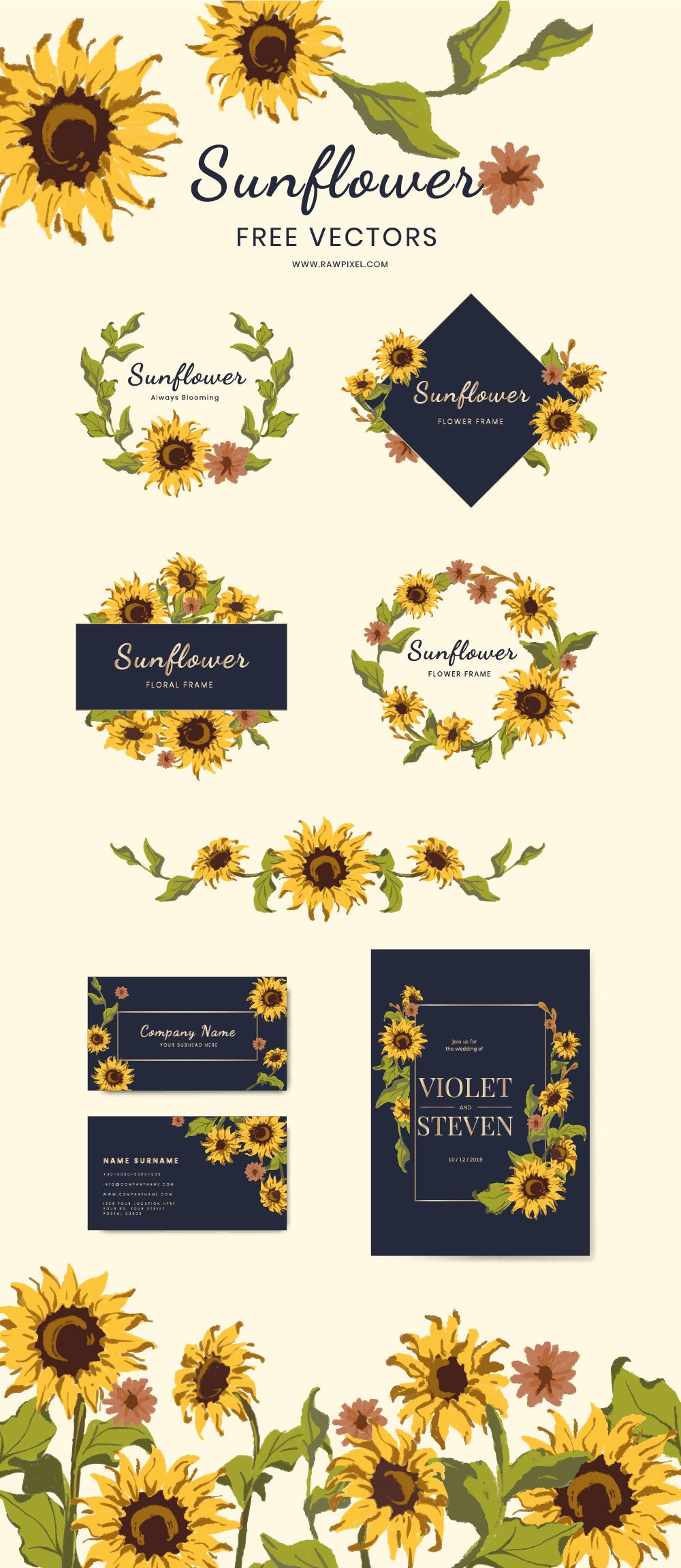 Detail Sunflower Pictures Free Download Nomer 30