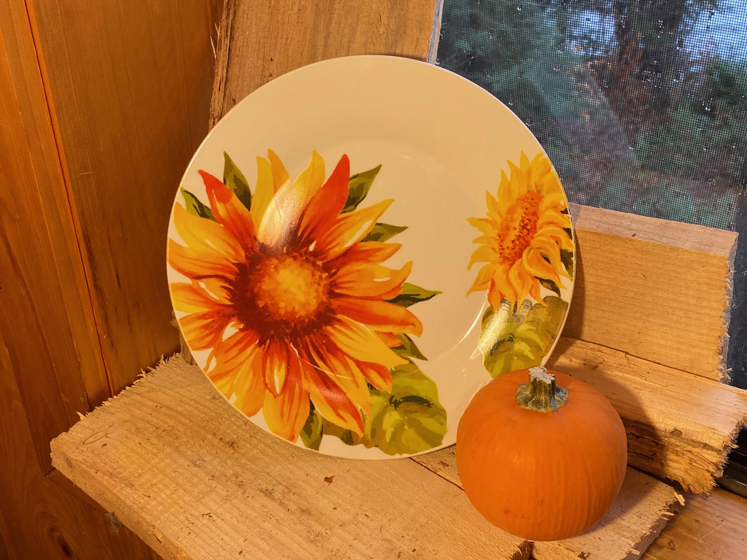 Detail Sunflower Plates At Dollar Tree Nomer 36