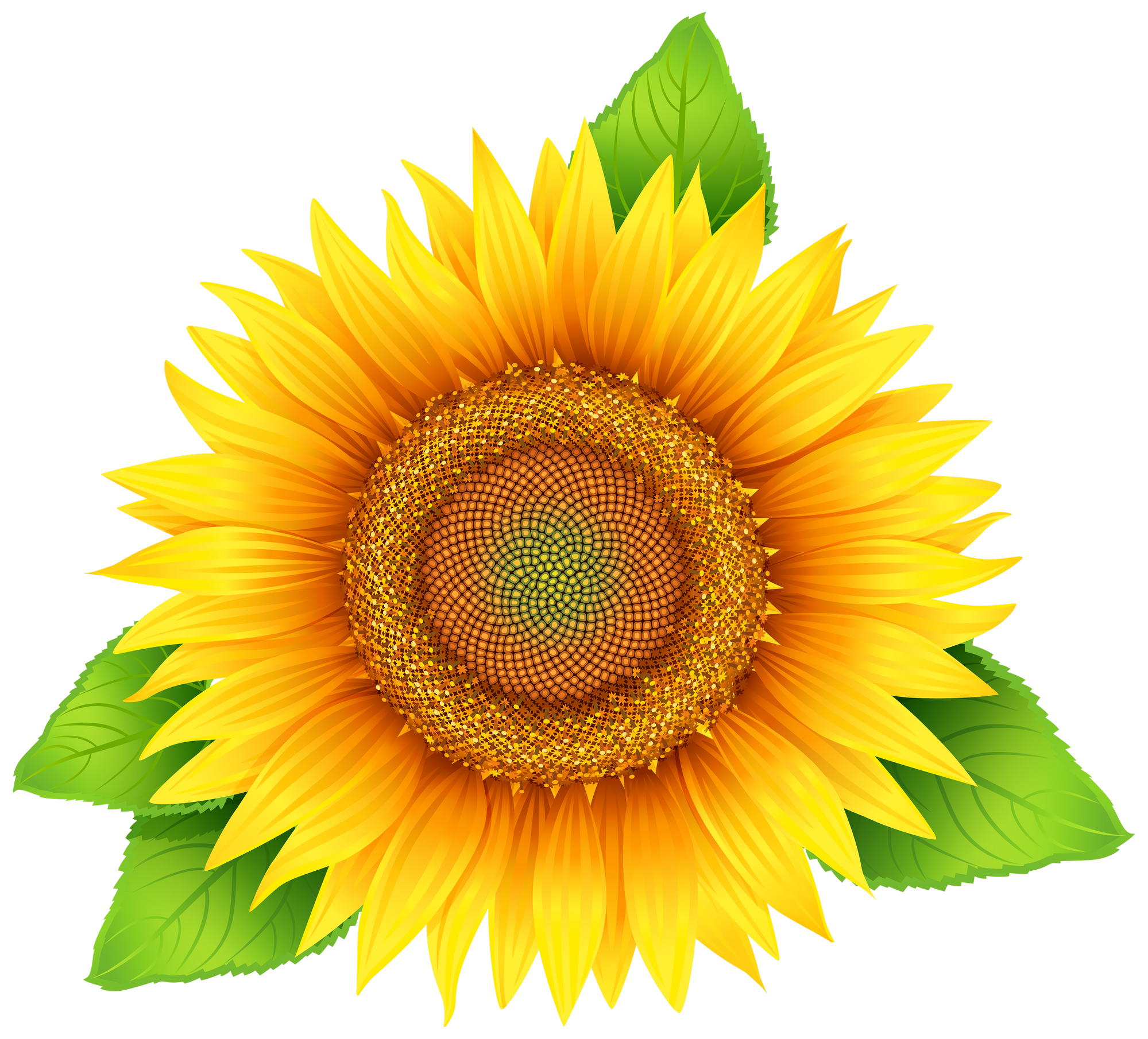 Detail Sunflower Png Free Nomer 27