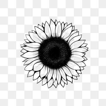Detail Sunflower Png Free Nomer 35
