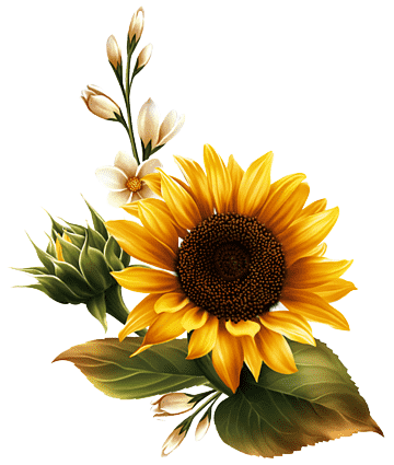 Detail Sunflower Png Free Nomer 37