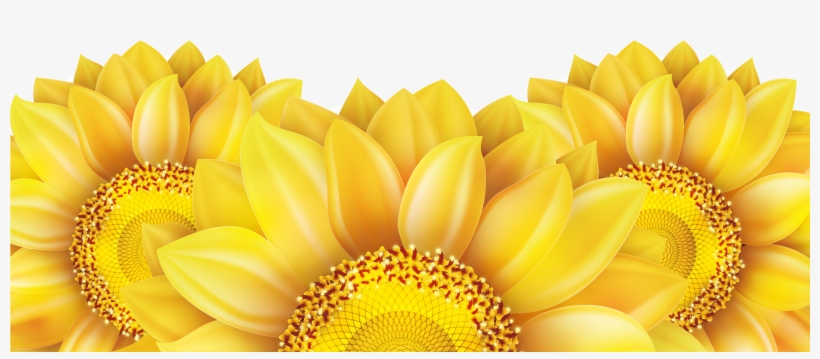 Detail Sunflower Png Free Nomer 40