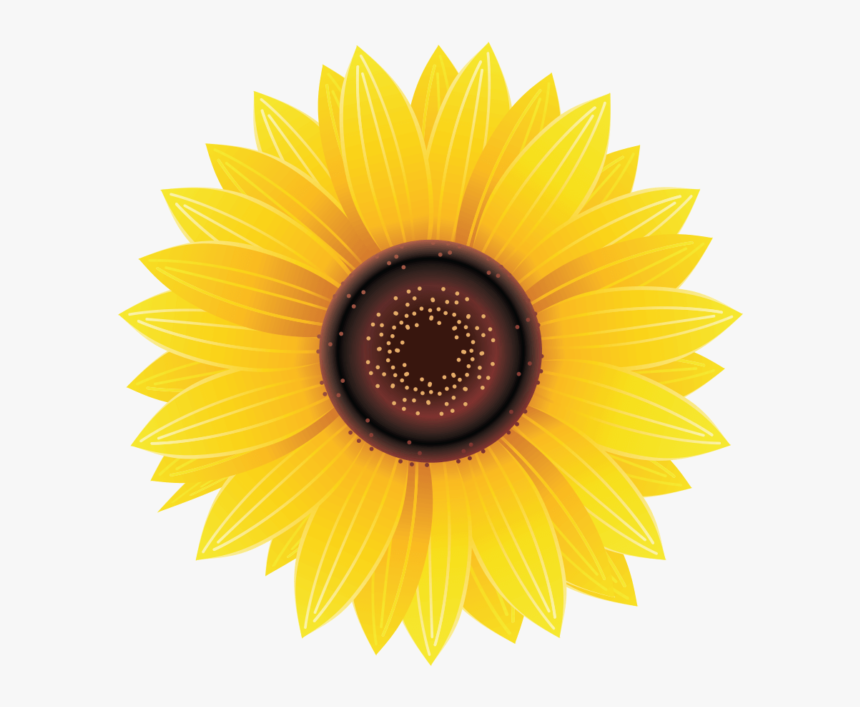 Detail Sunflower Png Image Nomer 19