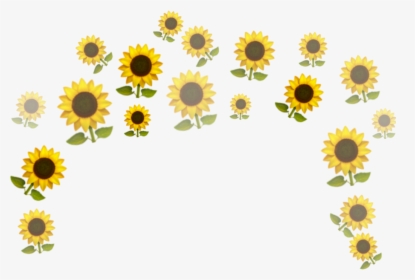 Detail Sunflower Png Image Nomer 21