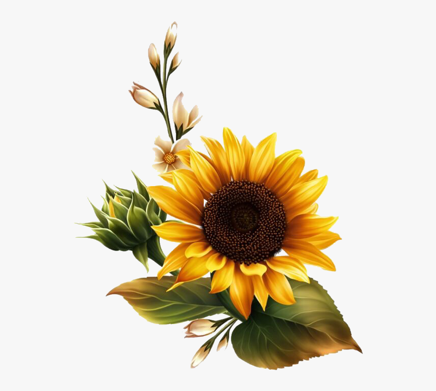 Detail Sunflower Png Image Nomer 24