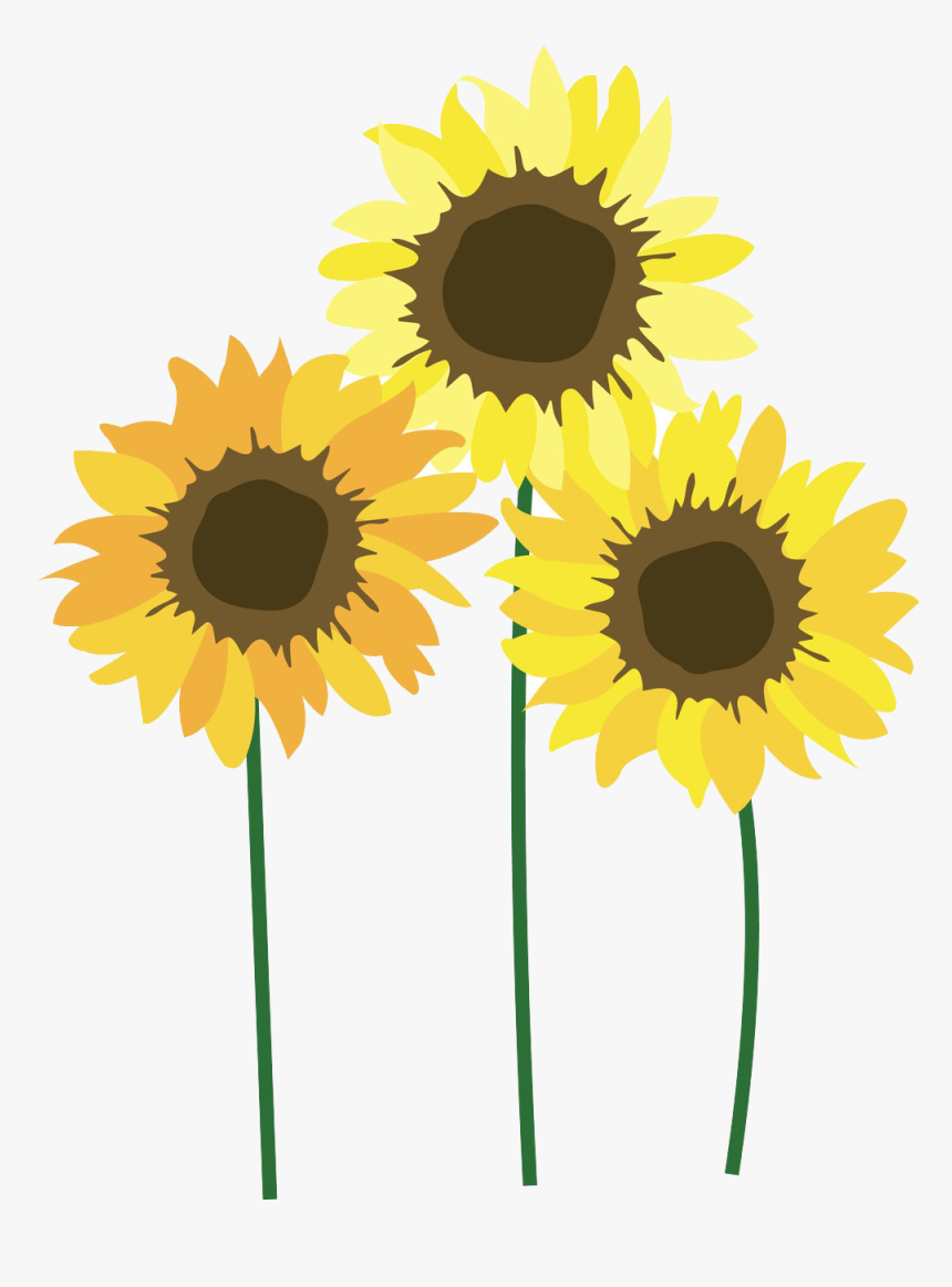 Detail Sunflower Png Image Nomer 31