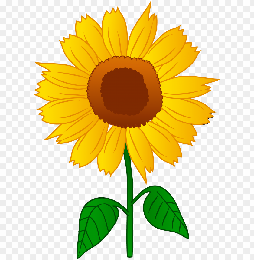 Detail Sunflower Png Image Nomer 42