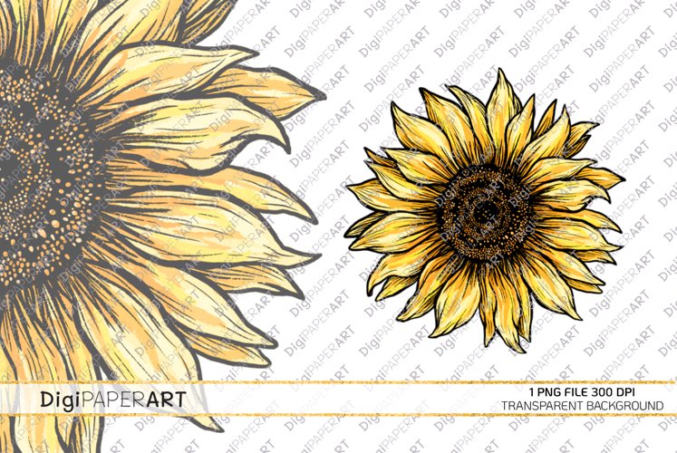 Detail Sunflower Png Images Nomer 23