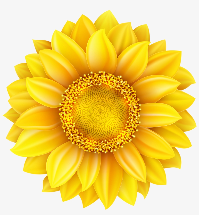 Detail Sunflower Png Transparent Nomer 31